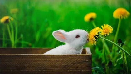 足球场上的风云变幻，谁是胜者？