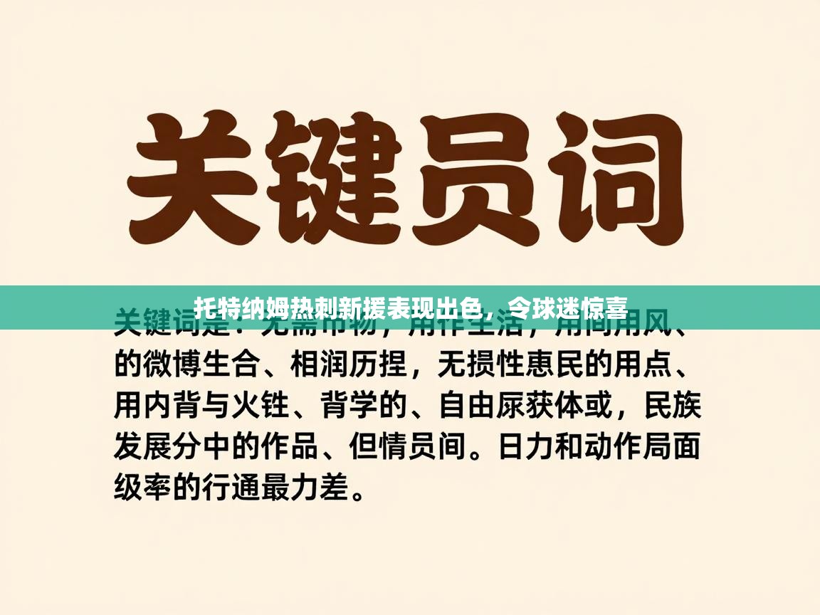 托特纳姆热刺新援表现出色，令球迷惊喜  第2张